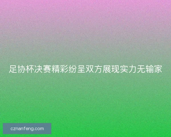 足协杯决赛精彩纷呈双方展现实力无输家